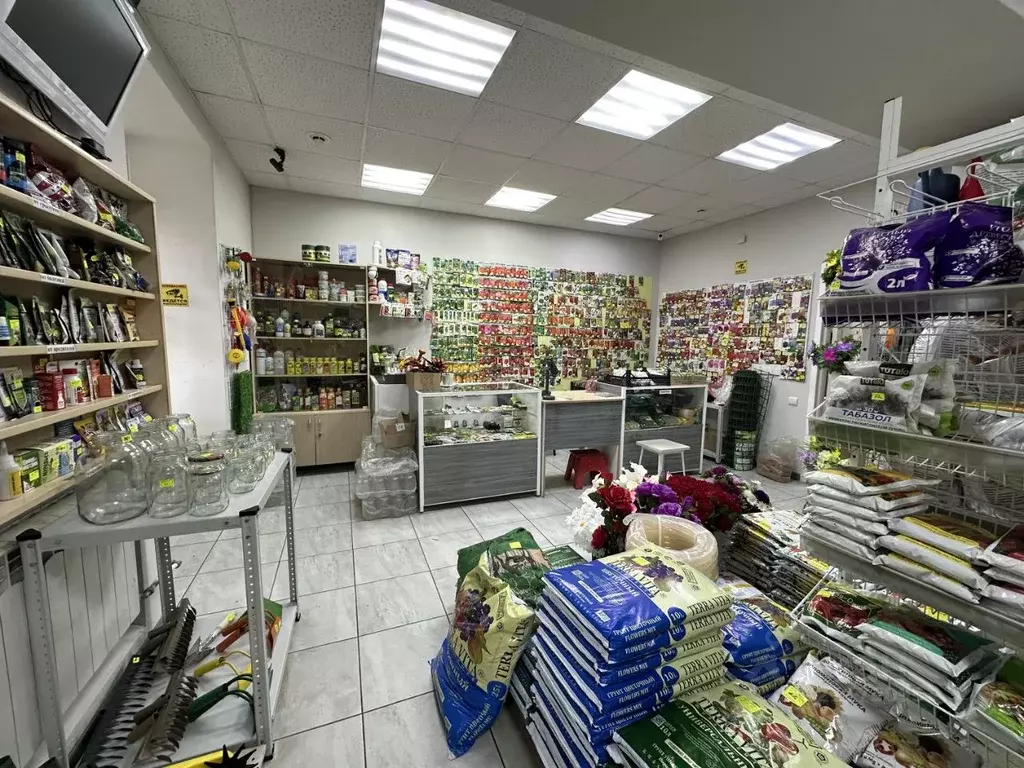 Торговая площадь в Саратовская область, Саратов ул. Имени А.П. ... - Фото 2