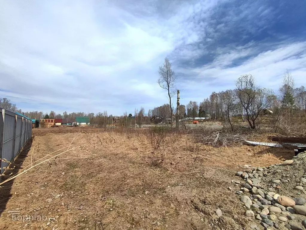 Участок в Алтай, Майминский район, пос. Дубровка ул. Сафронова, 75 ... - Фото 2