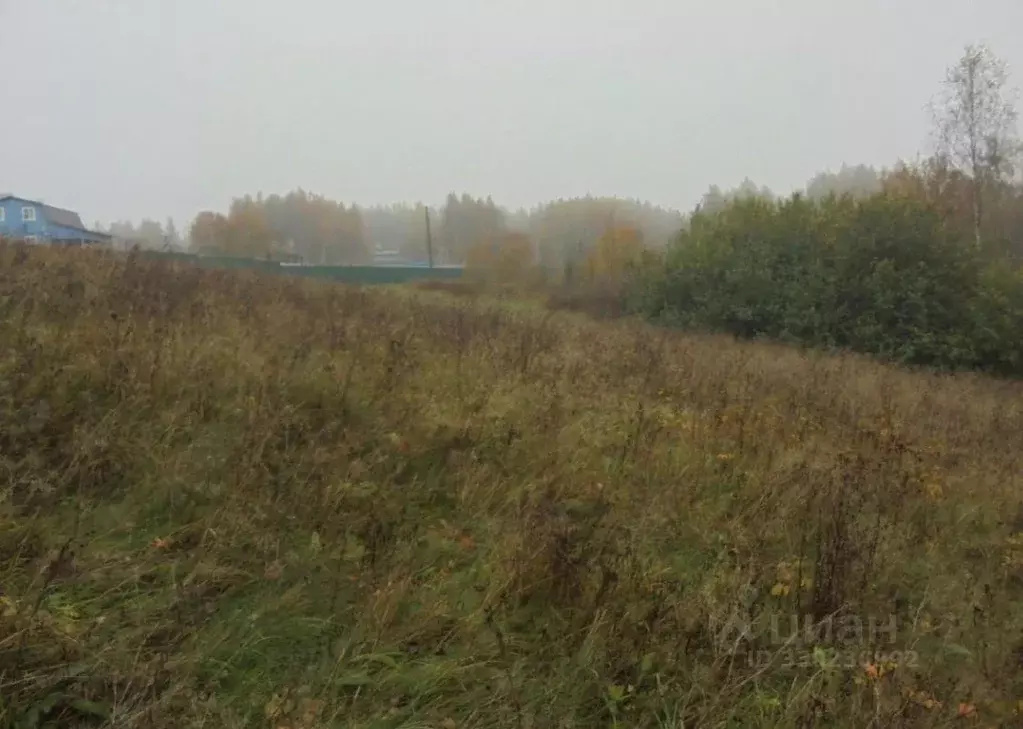 Участок в Московская область, Дмитровский муниципальный округ, д. ... - Фото 1