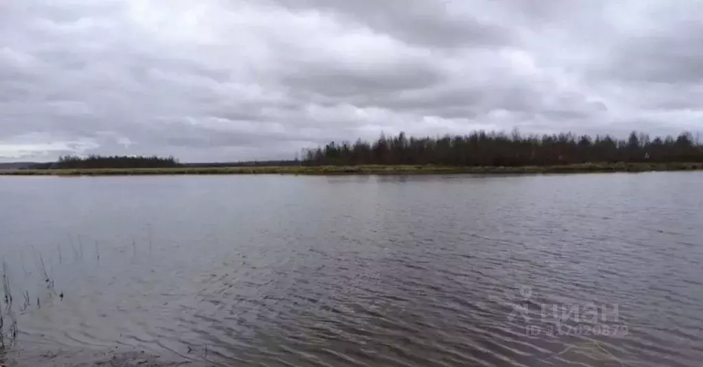 Участок в Карелия, Прионежский район, Шуйское с/пос, Логмозерское ДНТ  ... - Фото 0