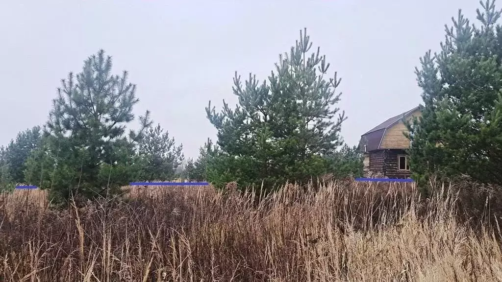 Участок в Тульская область, Заокский район, Малаховское с/пос, Садовые ... - Фото 2