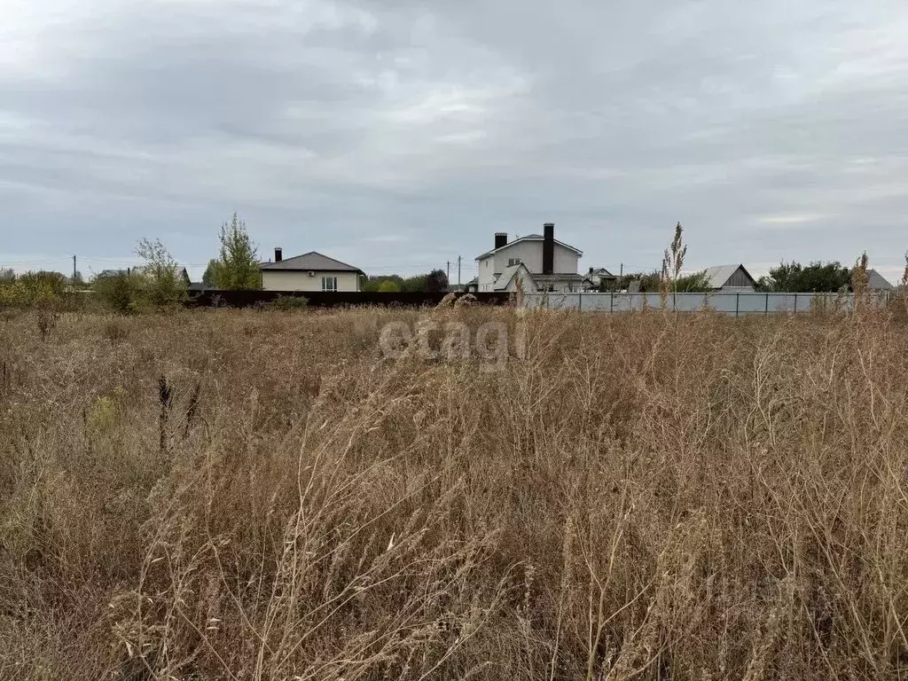 Участок в Воронежская область, с. Новая Усмань ул. Дачная (12.0 сот.) - Фото 0