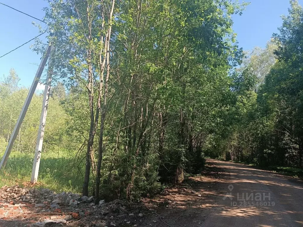 Участок в Новгородская область, Новгородский район, Савинское с/пос, ... - Фото 1