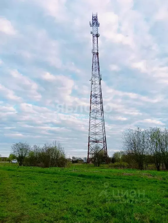 Участок в Пермский край, Березники муниципальное образование, д. ... - Фото 2