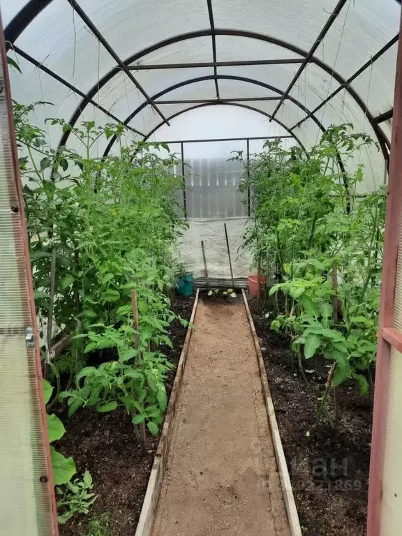 Дом в Тюменская область, Тюмень Мелиоратор СНТ, ул. Садовая (20 м) - Фото 1