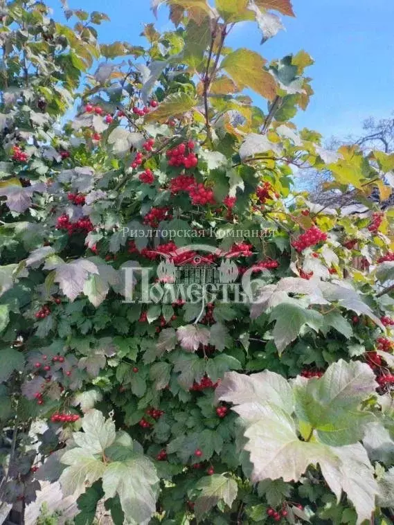 Дом в Иркутская область, Иркутский муниципальный округ, Ромашка-2 СНТ ... - Фото 2