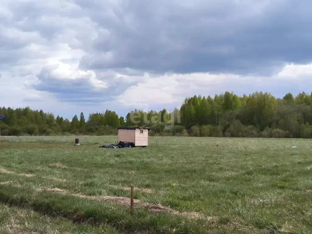 Участок в Ярославская область, Ярославский муниципальный округ, ... - Фото 1