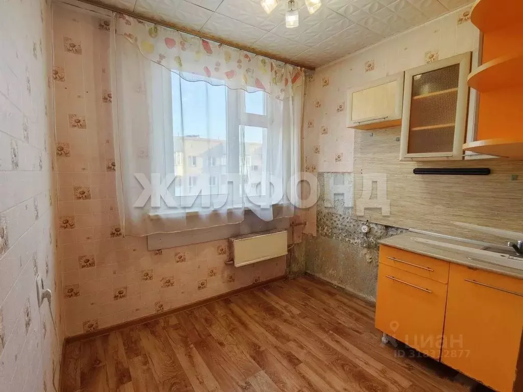 1-к кв. Новосибирская область, Новосибирск Кубовая ул., 107 (28.7 м) - Фото 1