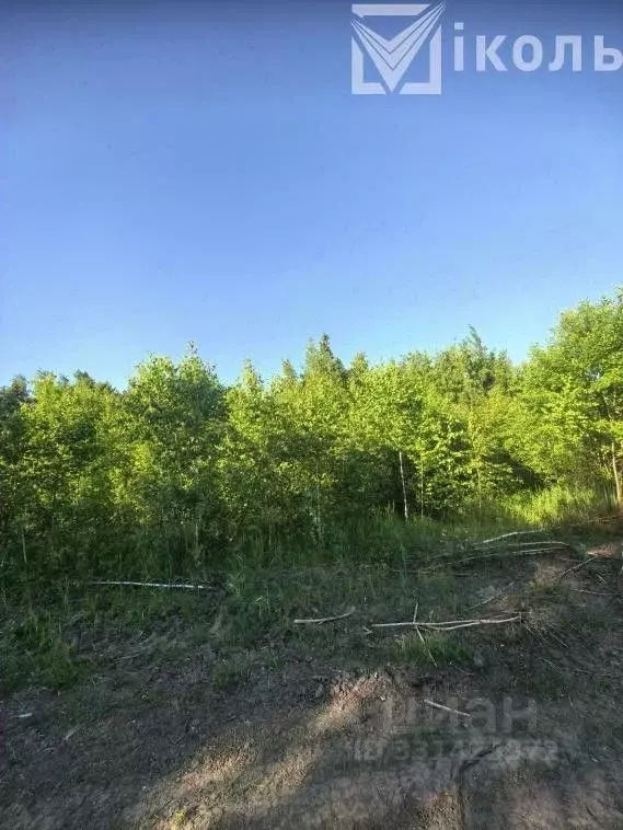 Участок в Иркутская область, Иркутский муниципальный округ, с. ... - Фото 2