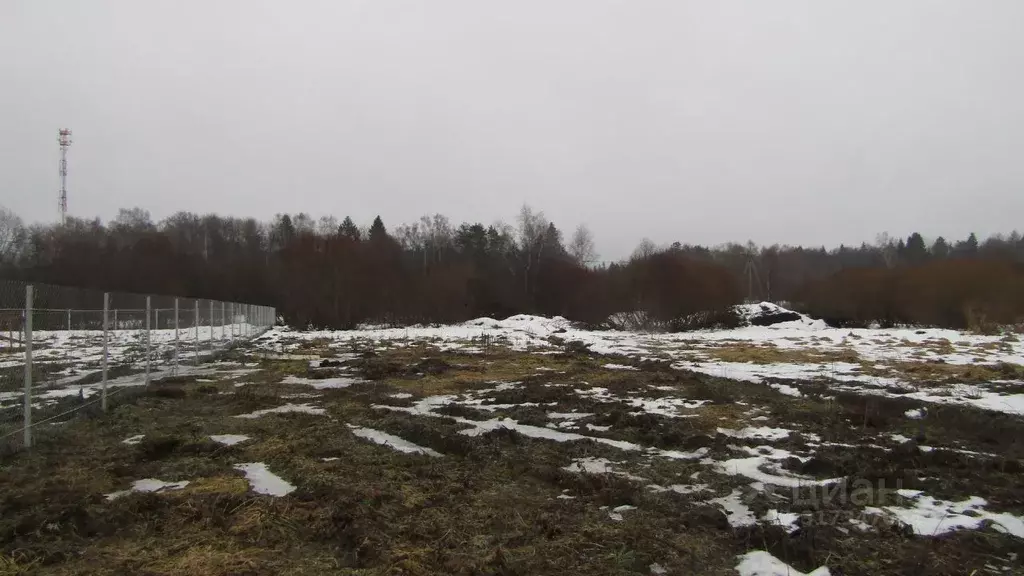Участок в Московская область, Рузский муниципальный округ, д. ... - Фото 1