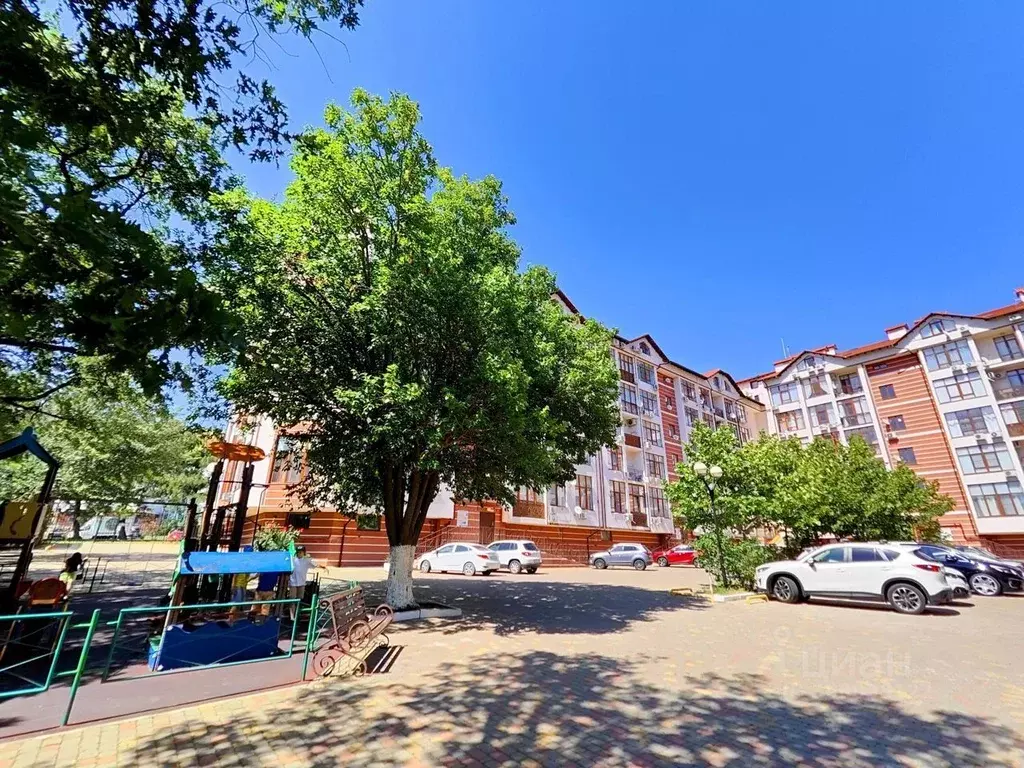 Студия Краснодарский край, Геленджик Туристическая ул., 3Д (30.0 м) - Фото 1