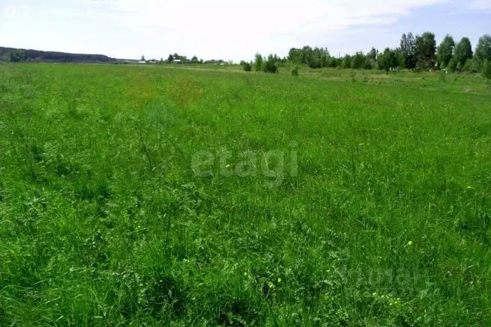 Участок в Ярославская область, Любимский муниципальный округ, д. ... - Фото 2