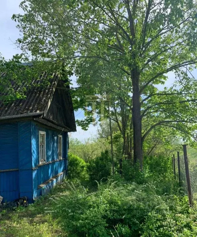 Дом в Новгородская область, Шимское городское поселение, д. Мшага ... - Фото 2
