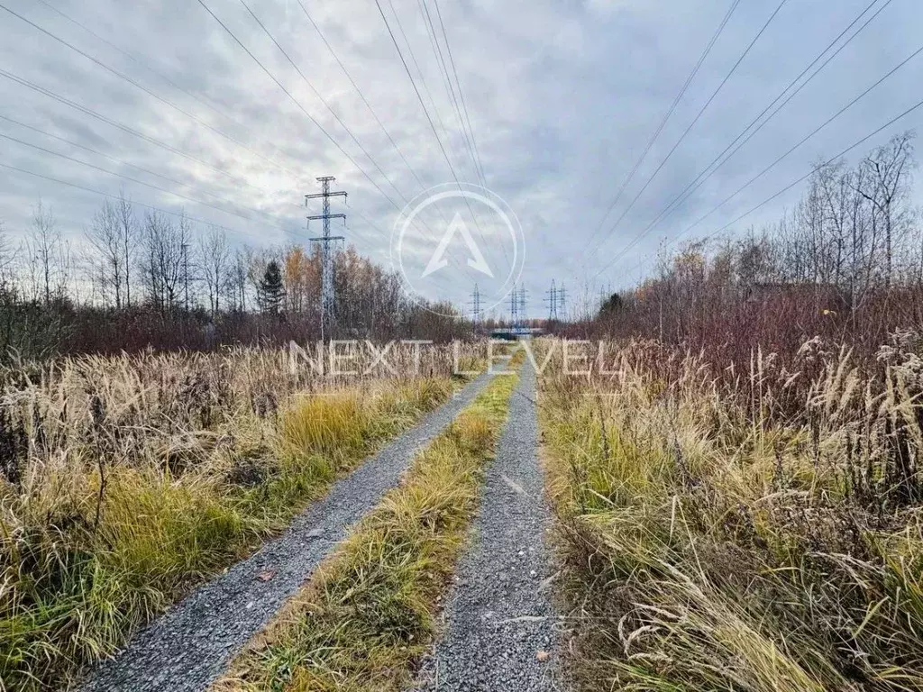 Участок в Московская область, Богородский городской округ, Импульс СНТ ... - Фото 1