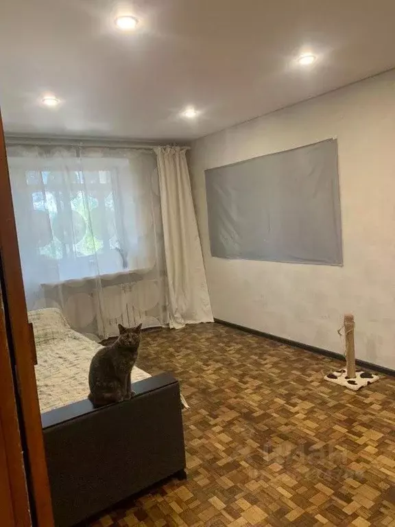 1-к кв. Ростовская область, Таганрог ул. Пальмиро Тольятти (29.0 м) - Фото 2