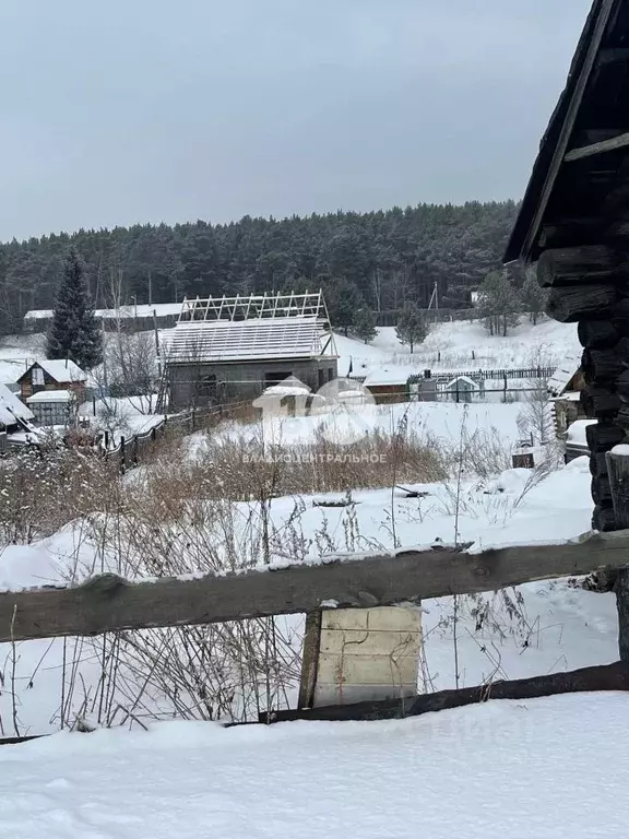 Участок в Новосибирская область, Новосибирский район, с. Кубовая ... - Фото 0