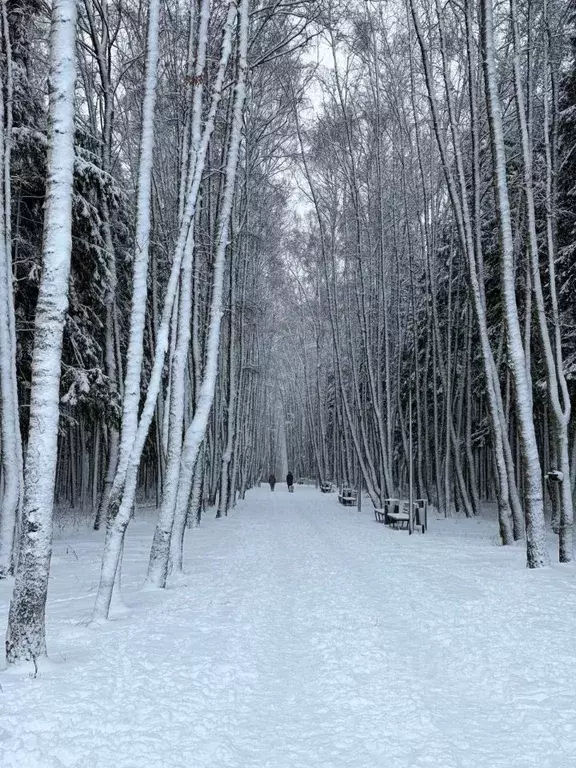 1-к кв. Москва просп. Прокшинский, 9 (32.0 м) - Фото 1