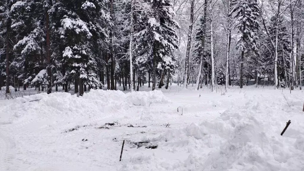 Участок в Московская область, Истра городской округ, д. Павловское  ... - Фото 0