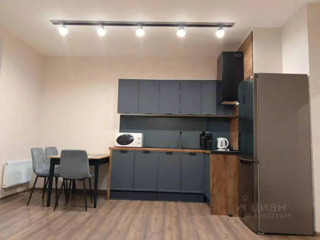 Студия Санкт-Петербург ш. Суздальское, 8 (33.0 м) - Фото 1