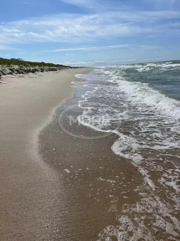 Участок в Калининградская область, Зеленоградский муниципальный округ, ... - Фото 1