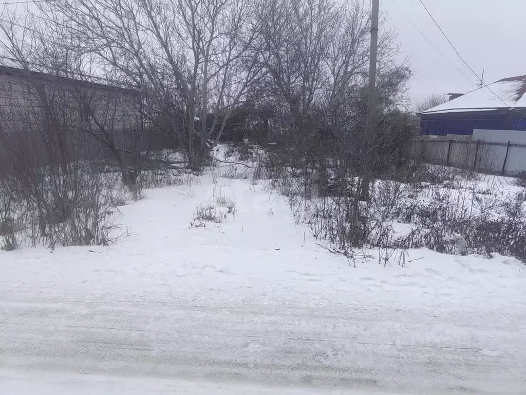 Участок в Белгородская область, Алексеевский муниципальный округ, ... - Фото 1