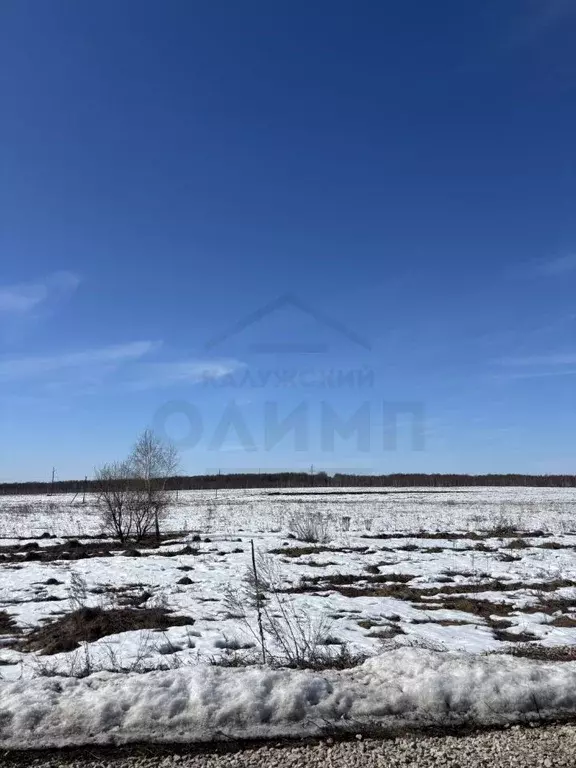 Участок в Калужская область, Ферзиковский муниципальный округ, Красный ... - Фото 2