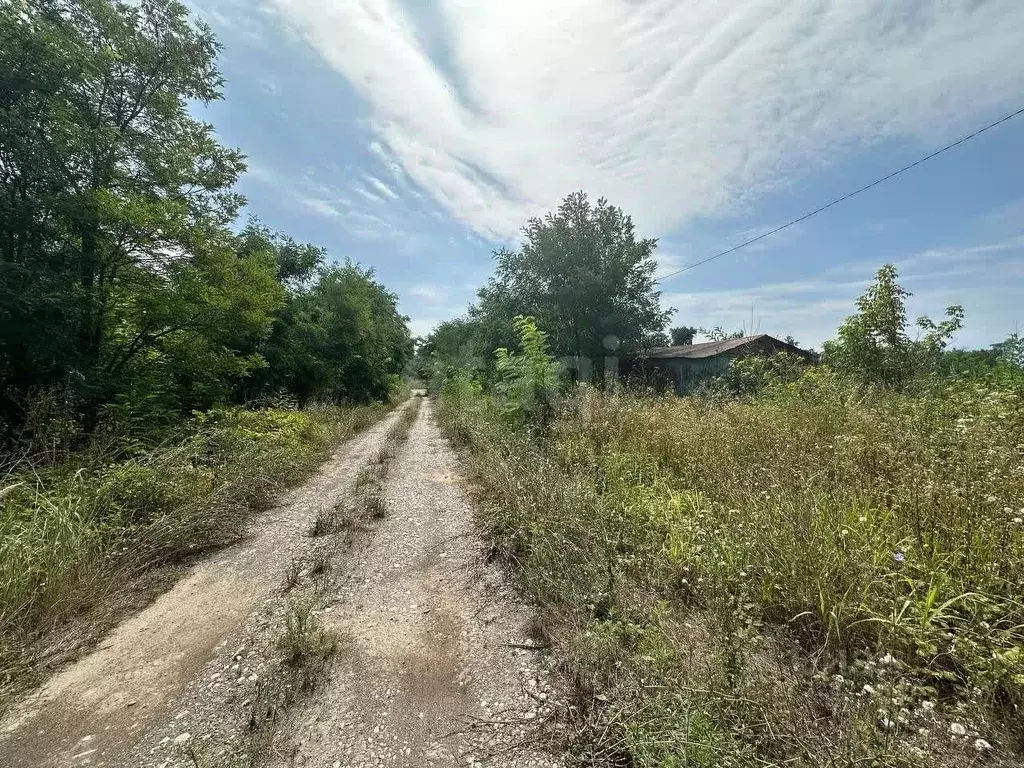 Участок в Ингушетия, Назрань ул. Вишневая (10.0 сот.) - Фото 1