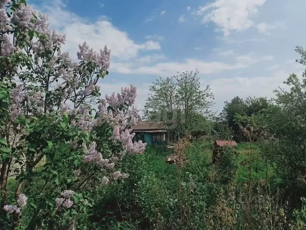 Участок в Кировская область, Юрьянский район, Загарское с/пос, ... - Фото 1