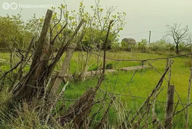 Участок в Ставропольский край, Изобильненский муниципальный округ, ... - Фото 0