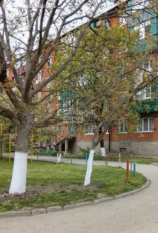 1-комнатная квартира: Майкоп, улица Свободы, 417Б (21.3 м) - Фото 1
