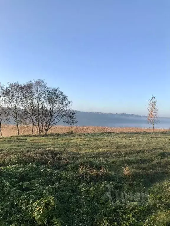Участок в Новгородская область, Валдайский район, Едровское с/пос, с. ... - Фото 2