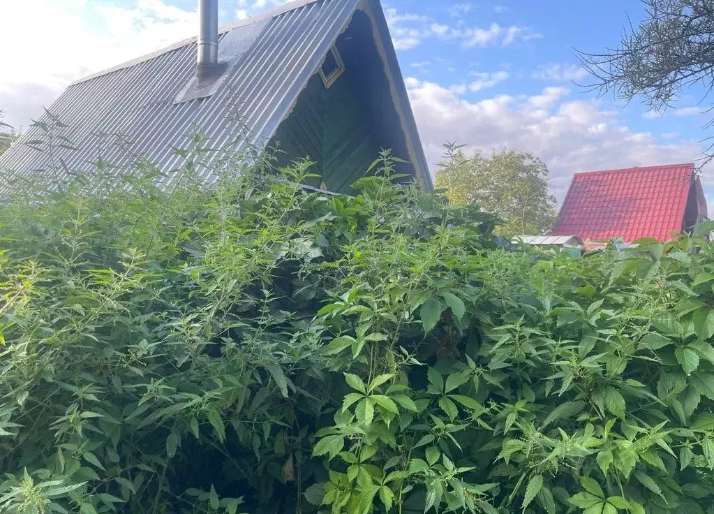 Дом в Московская область, Талдомский городской округ, д. Кушки  (60 м) - Фото 2