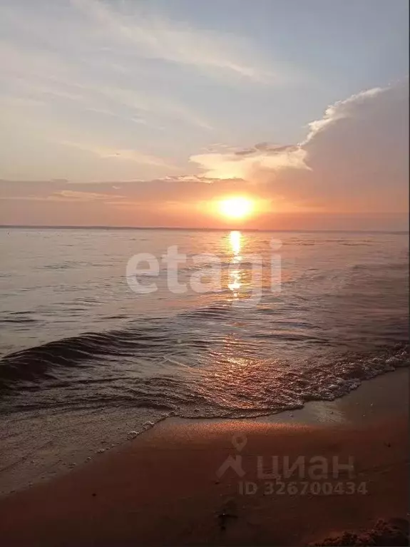Участок в Нижегородская область, Городецкий муниципальный округ, ... - Фото 1