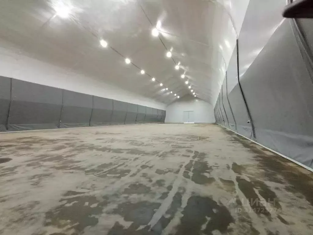 Помещение свободного назначения в Московская область, Люберцы ... - Фото 1