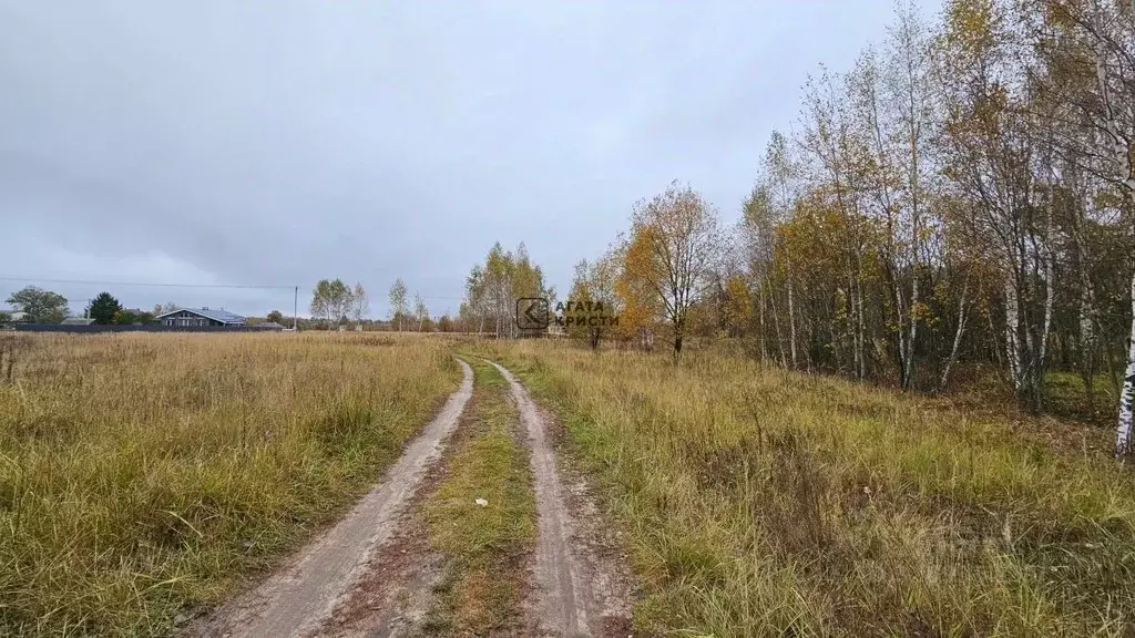 Участок в Московская область, Павлово-Посадский городской округ, с. ... - Фото 1