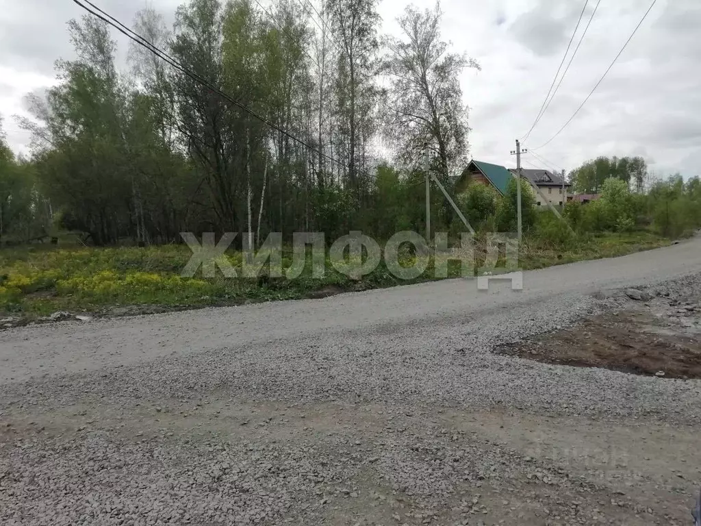 Дом в Новосибирская область, Новосибирск Березовая Роща СТ,  (65 м) - Фото 1