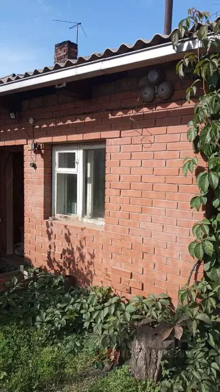 Дом в Красноярский край, Красноярск городской округ, Березовка ... - Фото 1