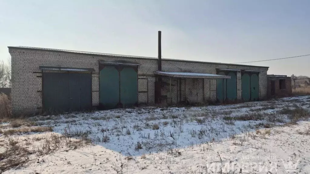 Производственное помещение в Амурская область, с. Тамбовка ул. ... - Фото 0