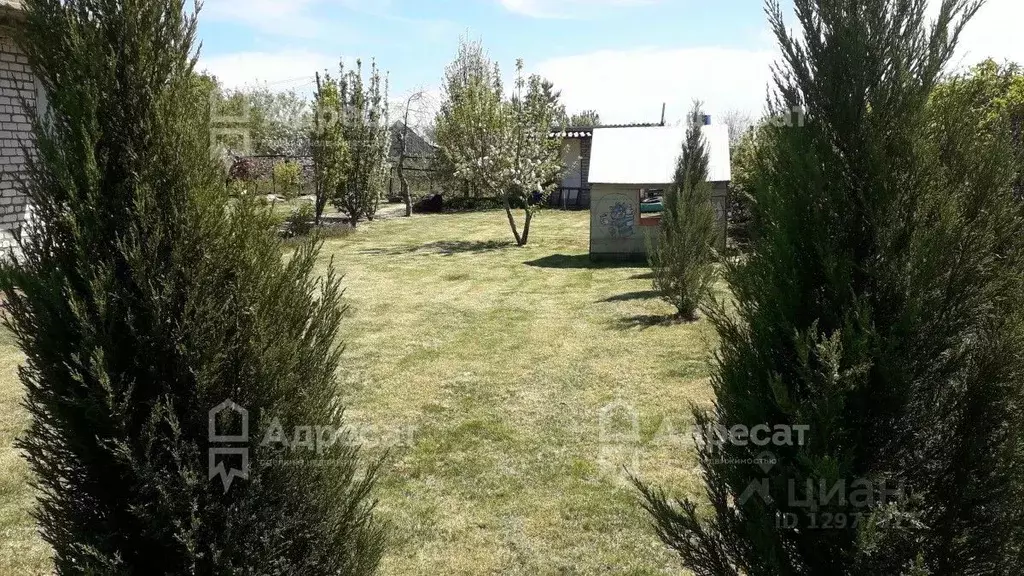 Дом в Волгоградская область, Волгоград Лесник СНТ,  (38 м) - Фото 1