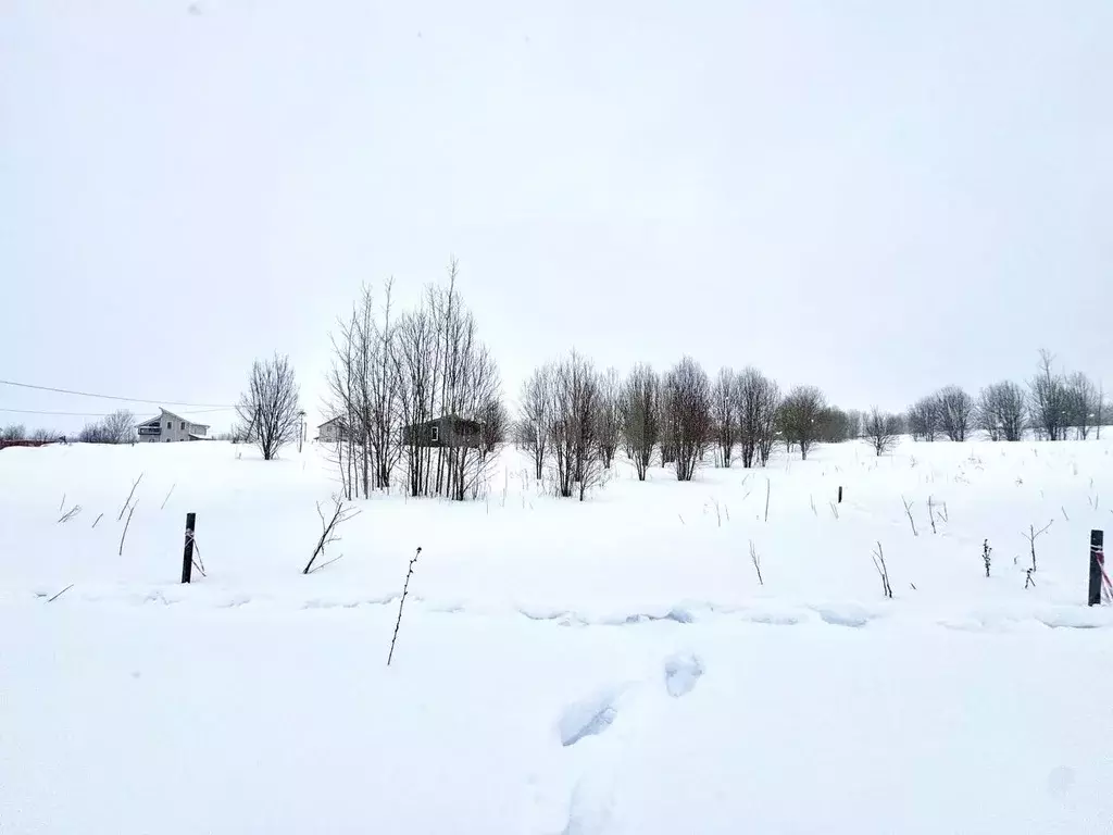 Участок в Ленинградская область, Ломоносовский район, Лопухинское ... - Фото 1