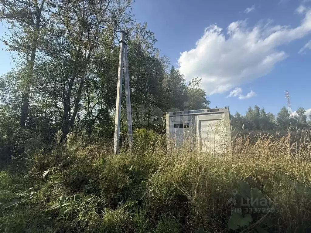 Участок в Калужская область, Бабынинский муниципальный округ, с. ... - Фото 1