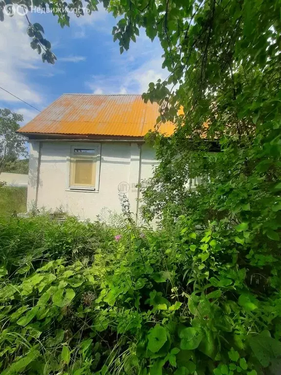 Дом в Домодедово, СНТ Калининец, 11 (20 м) - Фото 2