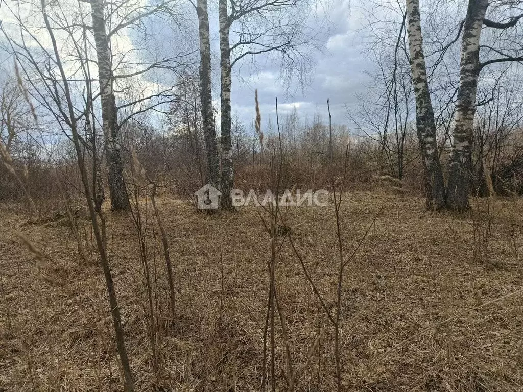 Участок в Ковровский район, муниципальное образование Малыгинское, ... - Фото 1