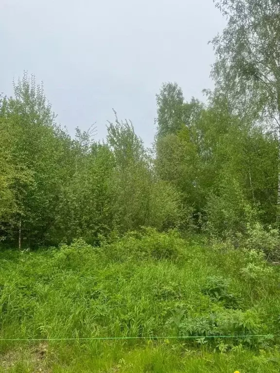 Участок в Ленинградская область, Кировское городское поселение, Лира ... - Фото 0