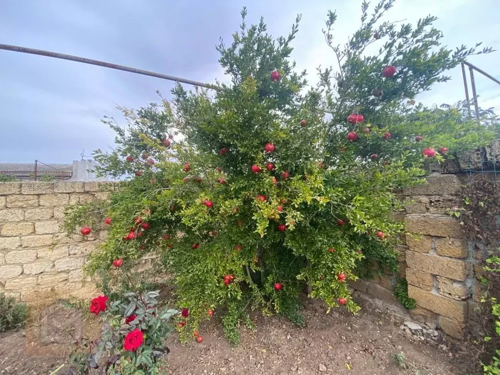 Дом в Крым, Сакский район, с. Ромашкино ул. Молодежная, 5 (186 м) - Фото 2