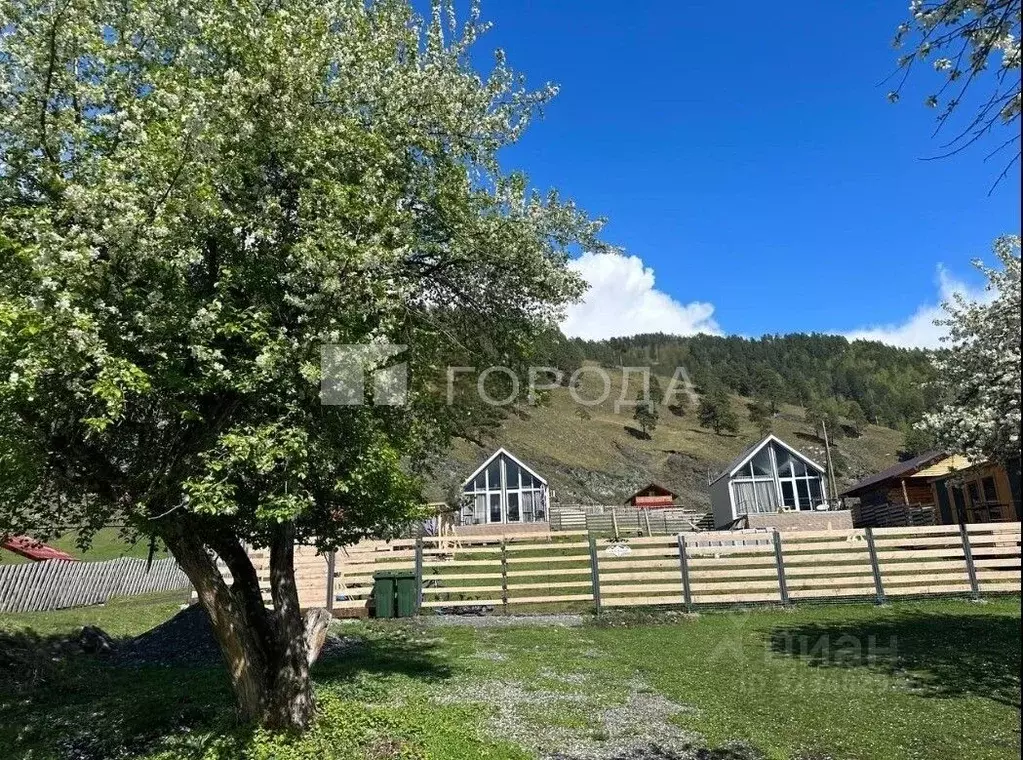 Дом в Алтай, Чемальский район, Элекмонарское с/пос, с. Элекмонар ул. ... - Фото 1