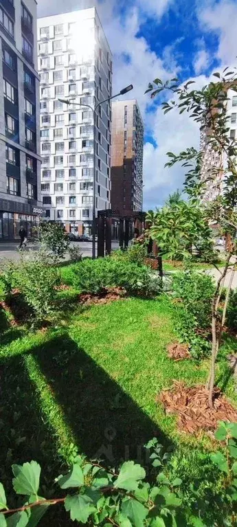 Студия Москва Сосенское поселение, просп. Куприна, 7к1 (23.0 м) - Фото 2