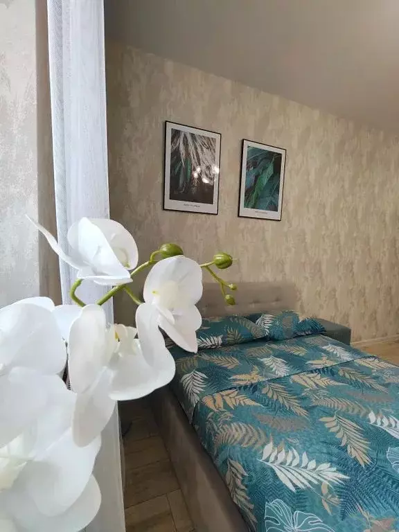 Студия Краснодарский край, Краснодар Восточно-Кругликовская ул., ... - Фото 0