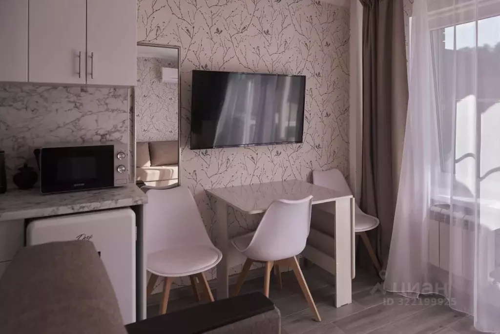 1-к кв. Воронежская область, Рамонь рп ул. Победы, 17Е (18.0 м) - Фото 2