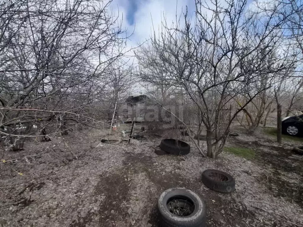 Участок в Саратовская область, Балашовский район, Хоперское ... - Фото 1